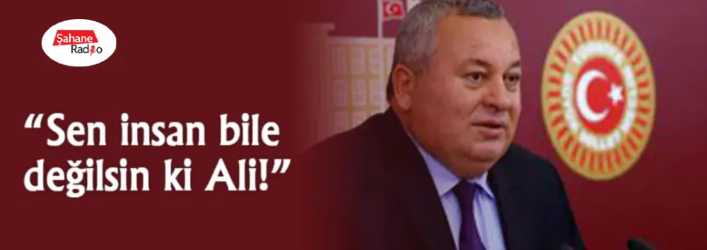 “Sen insan bile değilsin ki Ali!”