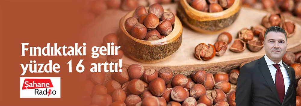 Fındıktaki gelir yüzde 16 arttı!