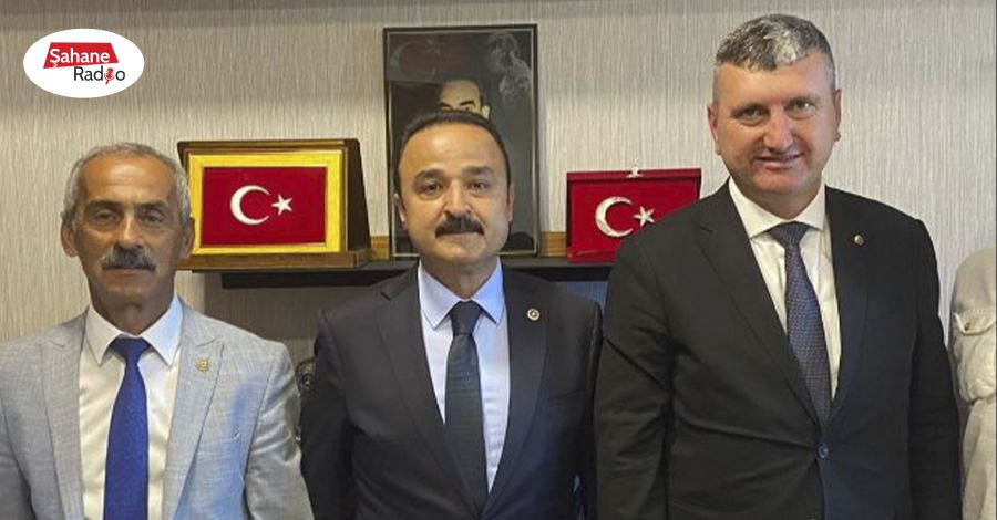 Ünye İl Platformu, Ankara ziyaretlerinde bulundu