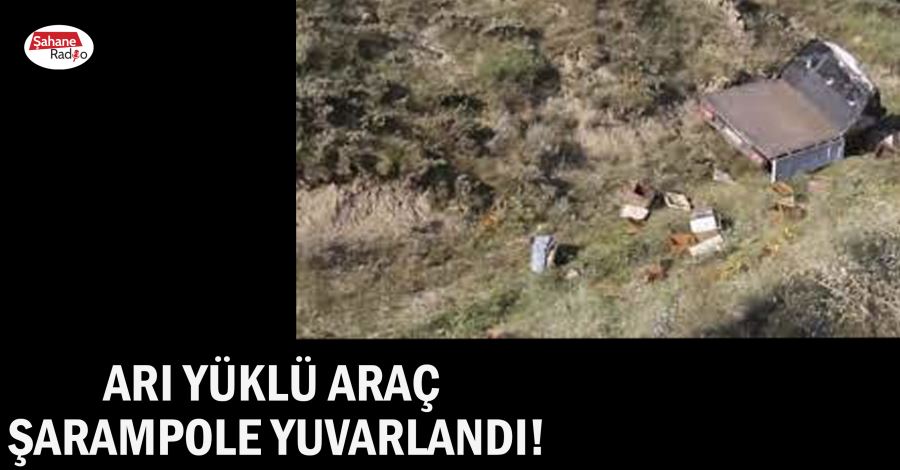 Arı yüklü araç şarampole yuvarlandı!
