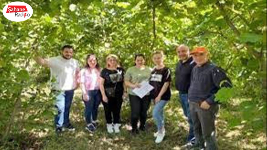 Rekolte tahmini şaşırttı, büyük düşüş!