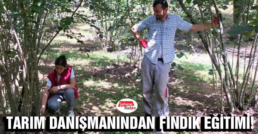 Tarım danışmanından fındık eğitimi!