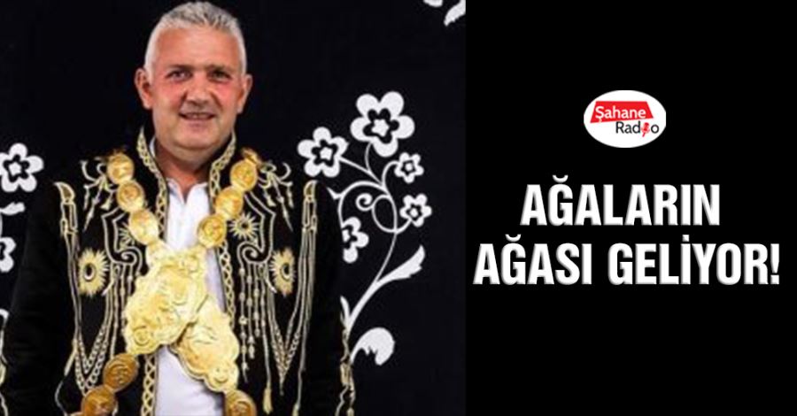 Ağaların ağası geliyor!