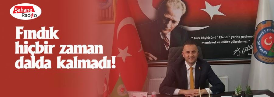 Fındık hiçbir zaman dalda kalmadı!