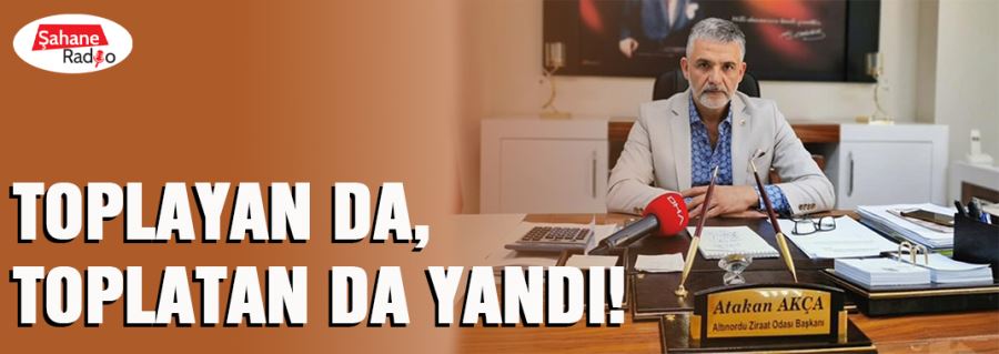 Toplayan da, toplatan da yandı!