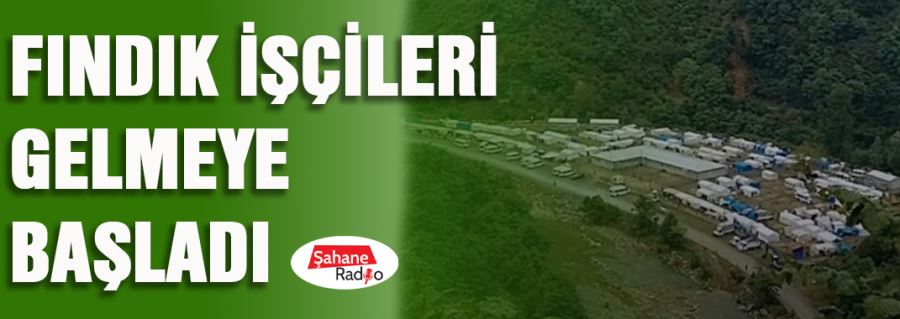 Fındık işçileri gelmeye başladı