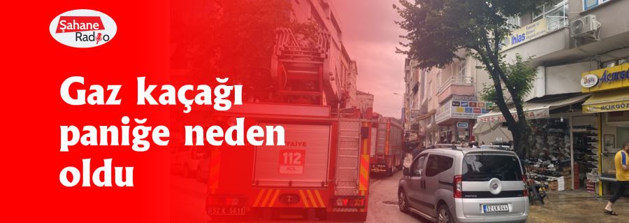 Gaz kaçağı paniğe neden oldu