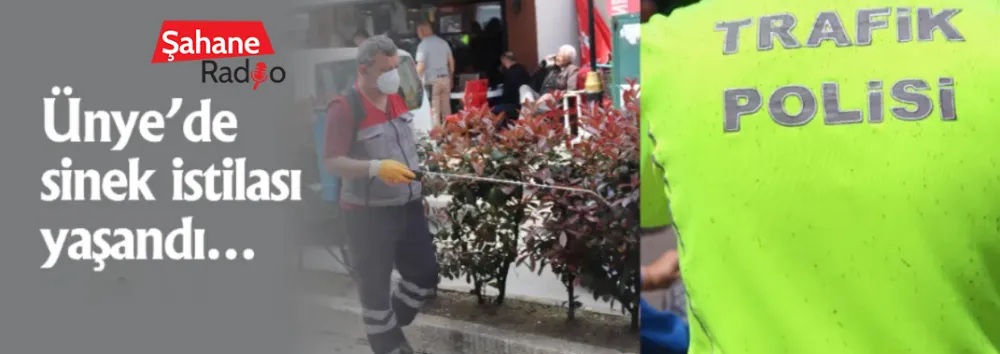 Ünye’de sinek istilası yaşandı…