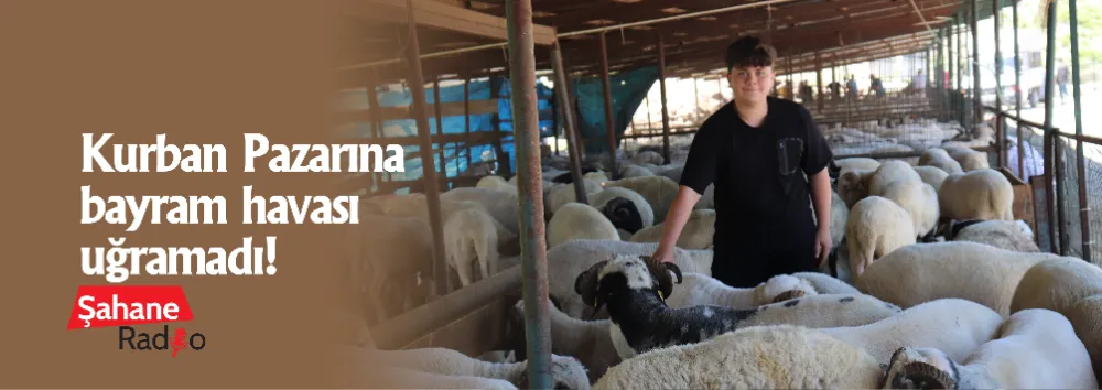 Kurban Pazarına bayram havası uğramadı!