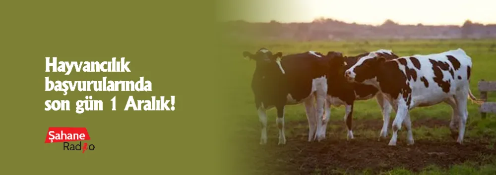 Hayvancılık destek başvurularında son gün 1 Aralık!
