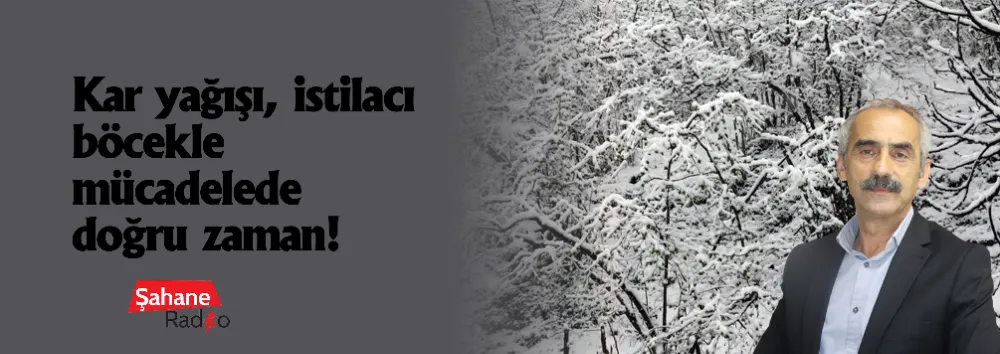 Kar yağışı, istilacı böcekle mücadelede doğru zaman! 