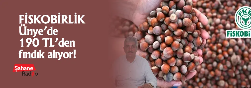 FİSKOBİRLİK Ünye’de 190 TL’den fındık alıyor!