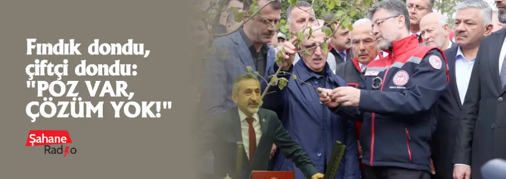 Fındık dondu, çiftçi dondu: 