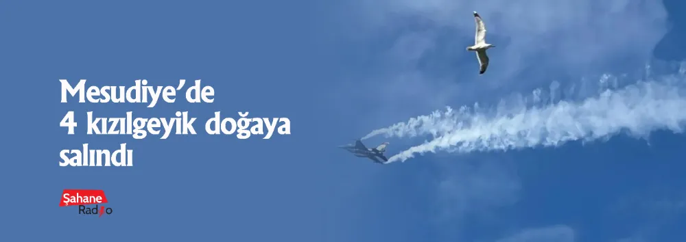 Ordu semalarında Solo Türk rüzgârı