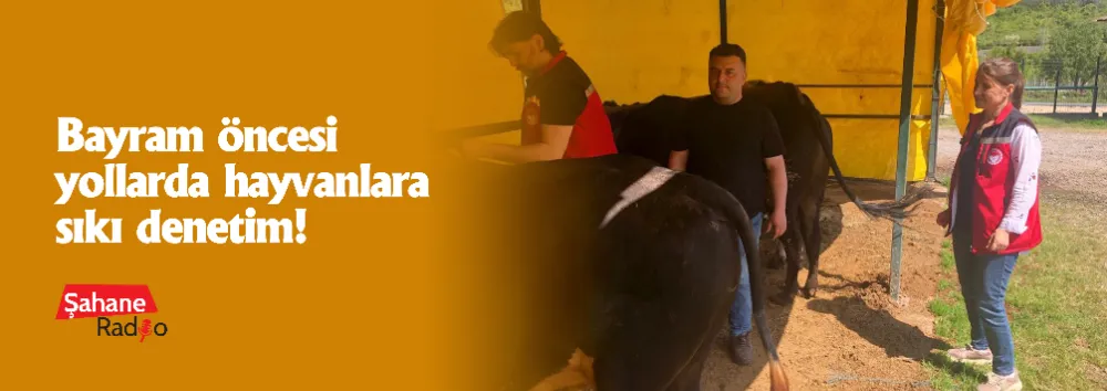 Bayram öncesi yollarda hayvanlara sıkı denetim!