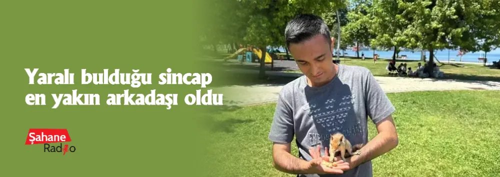Yaralı bulduğu sincap en yakın arkadaşı oldu