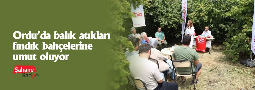 Ordu’da balık atıkları fındık bahçelerine umut oluyor
