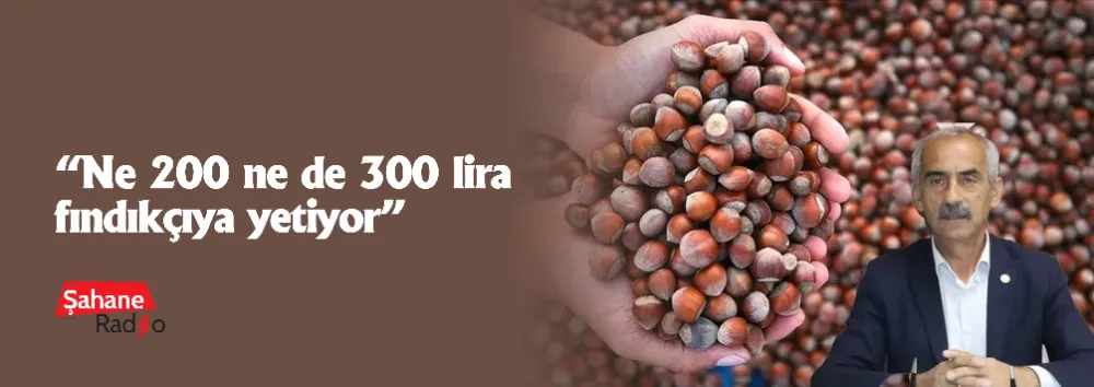 “Ne 200 ne de 300 lira fındıkçıya yetiyor”