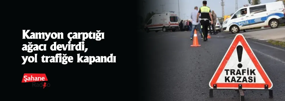 Kamyon çarptığı ağacı devirdi, yol trafiğe kapandı