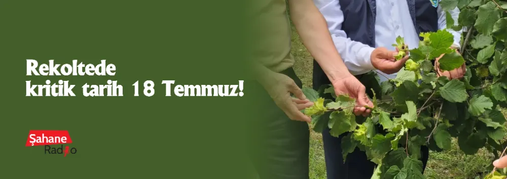 Rekoltede kritik tarih 18 Temmuz!