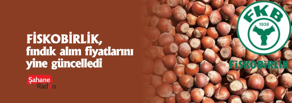 FİSKOBİRLİK, fındık alım fiyatlarını yine güncelledi