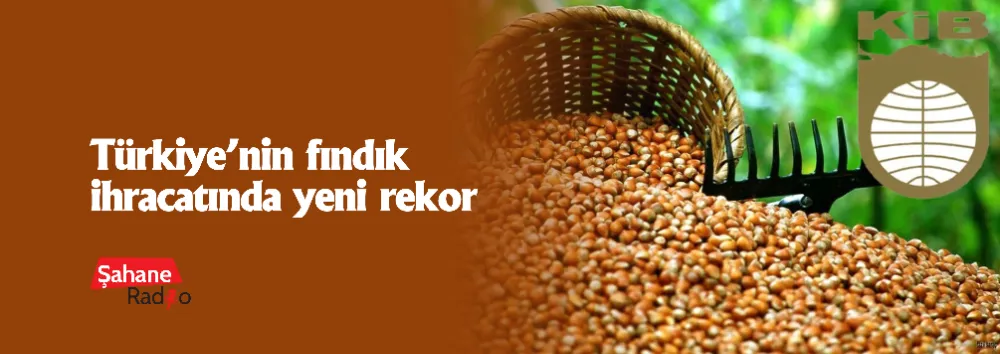 Türkiye’nin fındık ihracatında yeni rekor