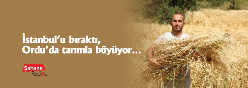 İstanbul’u bıraktı, Ordu’da tarımla büyüyor…