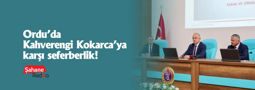 Ordu’da Kahverengi Kokarca’ya karşı seferberlik!