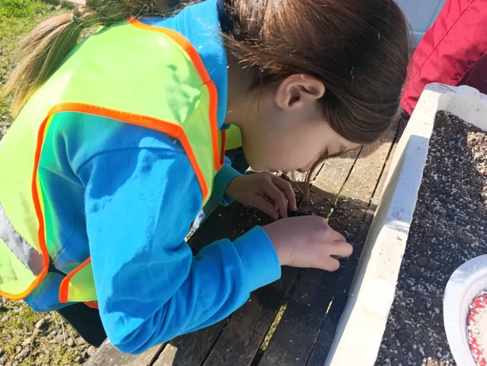 Ünye’de ata tohumları miniklerin ellerinde toprakla buluşuyor